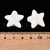 Handmade Porcelain Beads PORC-N008-03F-3