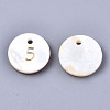 Natural Freshwater Shell Charms SHEL-Q023-05-2