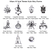 100pcs 10 Style Tibetan Style Alloy Charms TIBEP-CJ0001-38-2