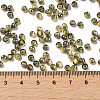 Transparent Inside Colours Glass Seed Beads SEED-H002-A-C202-4