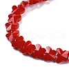 Opaque Color Glass Beads Strands EGLA-L045-I-B02-3