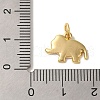 Rack Plating Brass Enamel Charms KK-L220-024G-01-3