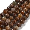 Natural Yellow Tiger Eye Beads Strands G-H238-8mm-2