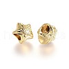 Alloy Beads TIBEB-A004-010G-NR-2