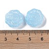 Painted Glass Beads GLAA-S202-14J-3