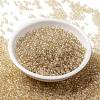 MIYUKI Round Rocailles Beads X-SEED-G008-RR0161-2