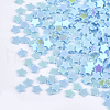 Shining Nail Art Glitter MRMJ-T017-04F-2
