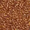 TOHO Round Seed Beads X-SEED-TR08-1853-2