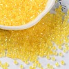 Glass Seed Beads SEED-S042-13A-03-1