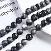 Natural Labradorite Beads Strands G-N328-49D-01-4