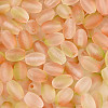 Frosted Glass Seed Beads SEED-N008-05D-3