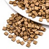 2-Hole Glass Seed Beads SEED-S031-L-ST1004F-1