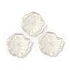 Transparent Glass Beads DGLA-E004-02K-1