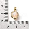 Brass Micro Pave Cubic Zirconia Pendants KK-K398-27G-01-3