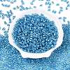 Baking Paint Transparent Glass Seed Beads SEED-N006-05L-2