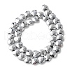 Electroplate Glass Beads Strands EGLA-L045-D-FP01-3