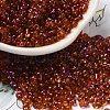 Spray Painted Glass Seed Beads SEED-F005-05A-01-1