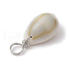 Natural Cowrie Shell Pendants PALLOY-JF02681-02-4