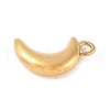 304 Stainless Steel Charms STAS-Q351-06G-2