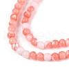 Dyed Natural Trochid Shell/Trochus Shell Beads Strands SSHEL-T017-13D-3