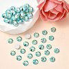 Preciosa® MAXIMA Crystal No Hotfix Flatback Stones Y-PRC-NSS8-50005-200-2