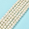 Natural Cultured Freshwater Pearl Beads Strands PEAR-E016-166-2