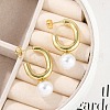 304 Stainless Steel Oval Stud Earrings EJEW-A119-09G-01-3