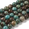 Natural Turquoise Beads Strands G-P506-04C-02-1