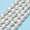 Natural Cultured Freshwater Pearl Beads Strands PEAR-J006-19A-2