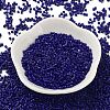 Baking Paint Glass Seed Beads X-SEED-S042-05B-78-2