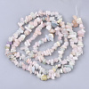 Natural Morganite Beads Strands G-S363-021-2