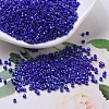 MIYUKI Delica Beads X-SEED-J020-DB0216-1