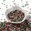 Baking Paint Glass Seed Beads SEED-S042-05A-15-2