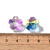 Glass Charms GLAA-I057-11A-3