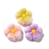 Resin Cabochons CRES-M002-13-2