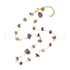 Natural Amethyst Chip Beaded Necklace for Girl Women NJEW-JN03708-01-1