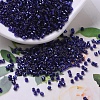 MIYUKI Delica Beads SEED-J020-DB0183-1