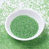 MIYUKI Delica Beads X-SEED-J020-DB1246-2