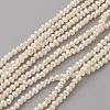 Natural Cultured Freshwater Pearl Beads Strands PEAR-G007-42-01-1