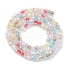 Handmade Lampwork Beads Strands LAMP-R020-01B-2
