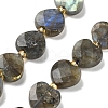 Natural Labradorite Beads Strands G-B044-B21-01-2