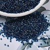MIYUKI Delica Beads X-SEED-J020-DB1763-1