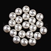 ABS Plastic Imitation Shell Pearl Beads KY-S171-17E-1