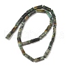 Natural African Turquoise(Jasper) Beads Strands G-G837-02-4