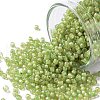 TOHO Round Seed Beads X-SEED-TR11-0946F-1