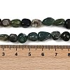 Natural Moss Agate Beads Strands G-Q060-D10-5