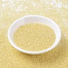 MIYUKI Round Rocailles Beads SEED-G007-RR0273-2