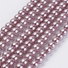 Eco-Friendly Dyed Glass Pearl Beads Strands HY-A008-5mm-RB085-1