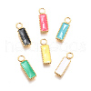 304 Stainless Steel Charms STAS-H233-11G-1