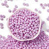 Baking Paint Glass Seed Beads SEED-C003-02C-2